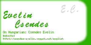 evelin csendes business card